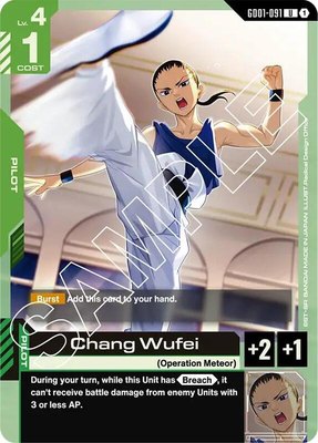 Chang Wufei, Newtype Rising
