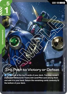 The Path to Victory or Defeat, Newtype Rising