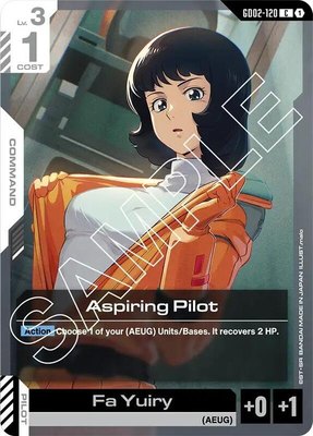 Aspiring Pilot, Dual Impact