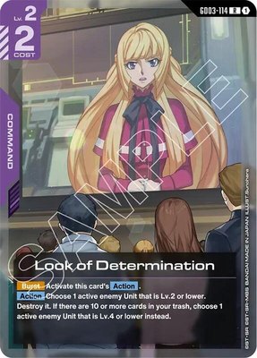 Look of Determination, Steel Requiem