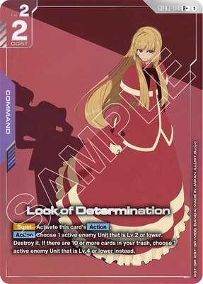 Look of Determination (R+), Steel Requiem