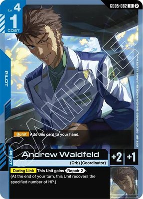 Andrew Waldfeld, Freedom Ascension